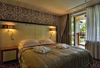 Отель Hotel Czarny Potok Resort SPA & Conference Крыница-Здруй Классический двухместный номер с 1 кроватью или 2 отдельными кроватями-23